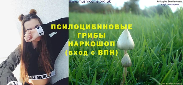 MESCALINE Баксан