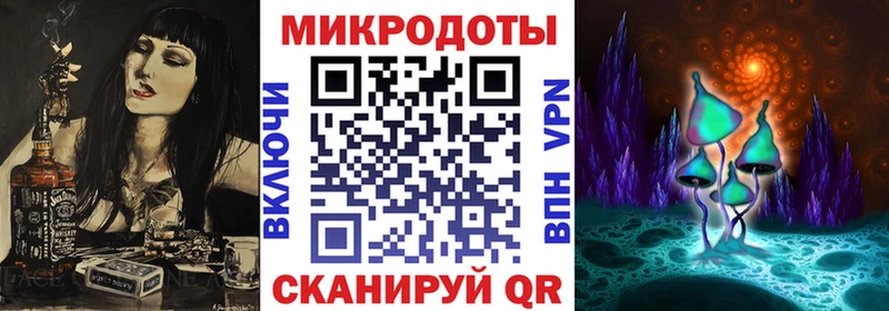 Галлюциногенные грибы Psilocybe  Заволжье 