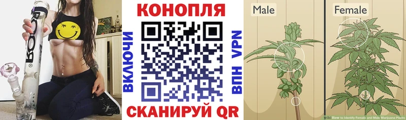 Бошки марихуана Amnesia  магазин  наркотиков  Заволжье 